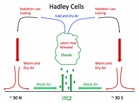 Image result for hadley cell